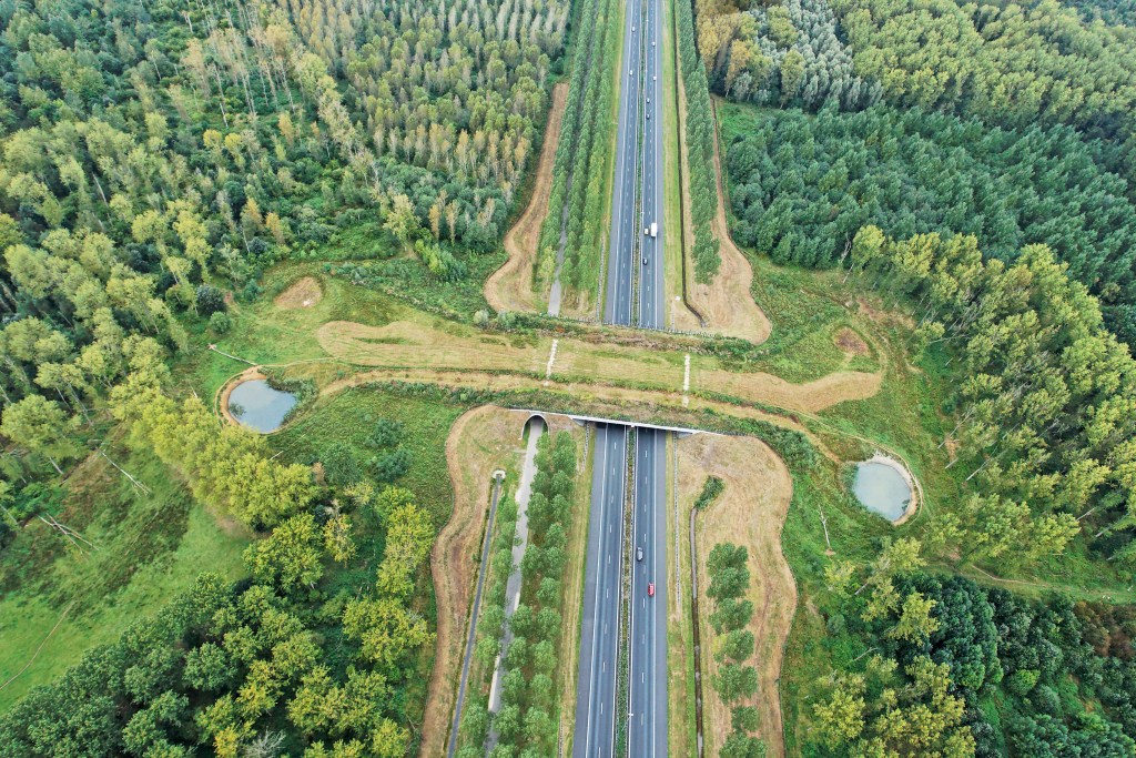 An ecoduct across the A2 at Best, just north of Eindhoven.