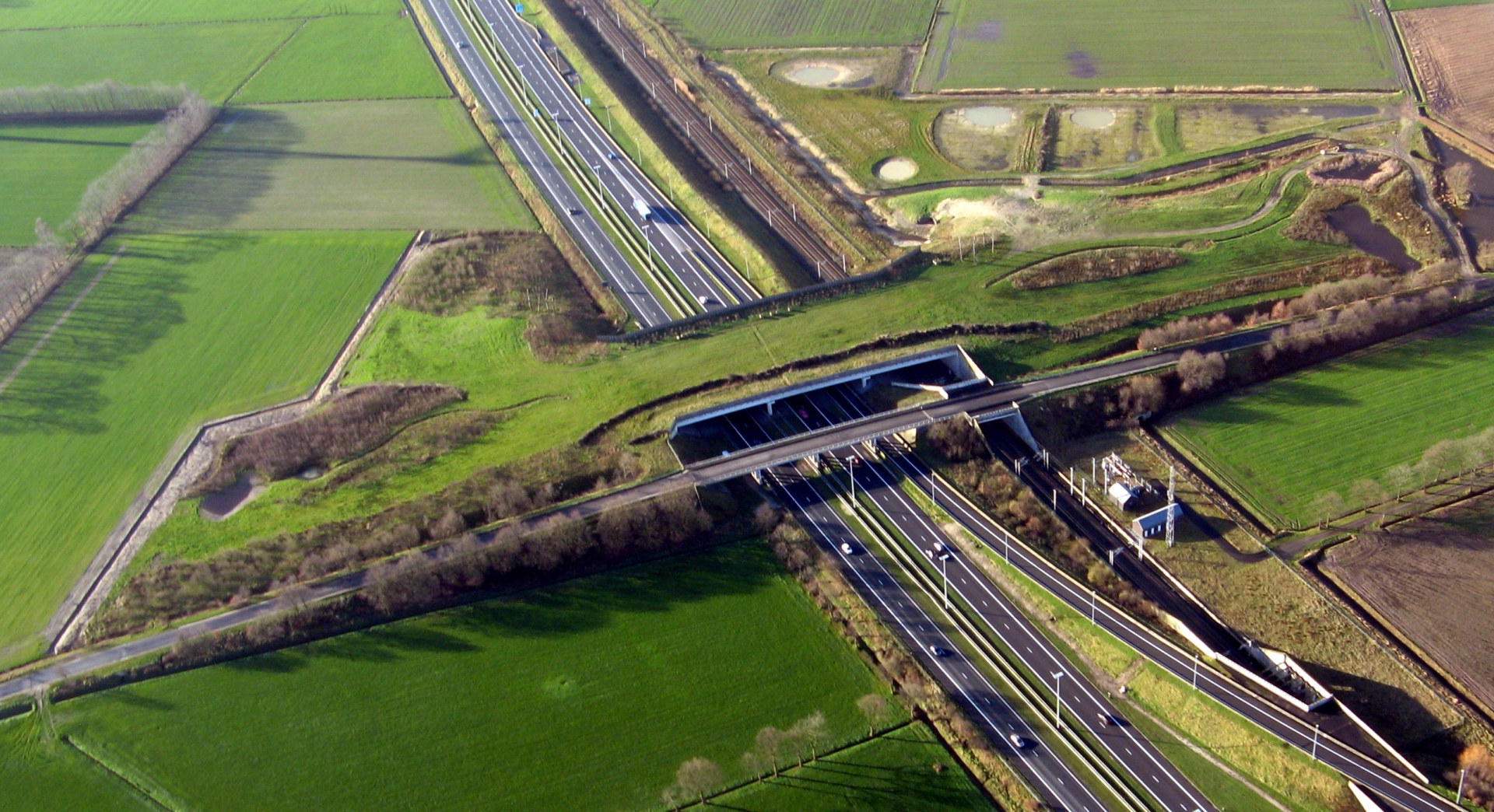 Ecoduct De munt - WUUSTWEZEL - Belgique