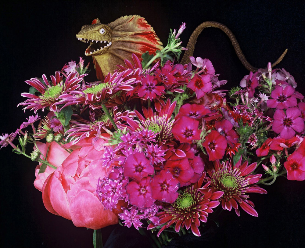 araki-flowers