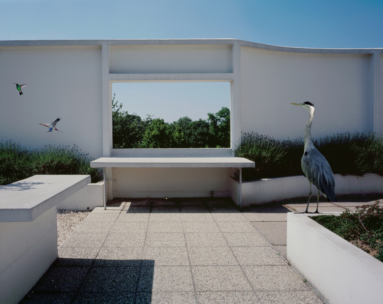 Rooftop-1258x1000