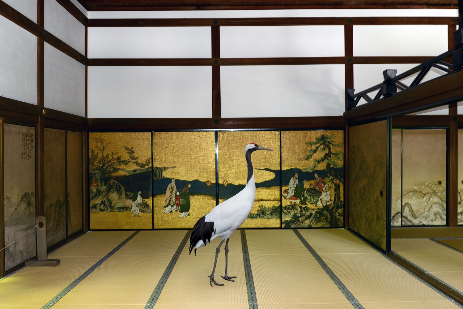 karen-knorr-.Sarus-in-Temple