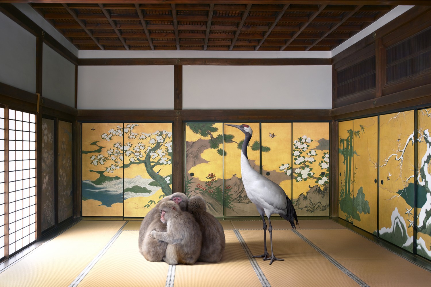 karen-knorr-Guardian-of-the-Temple