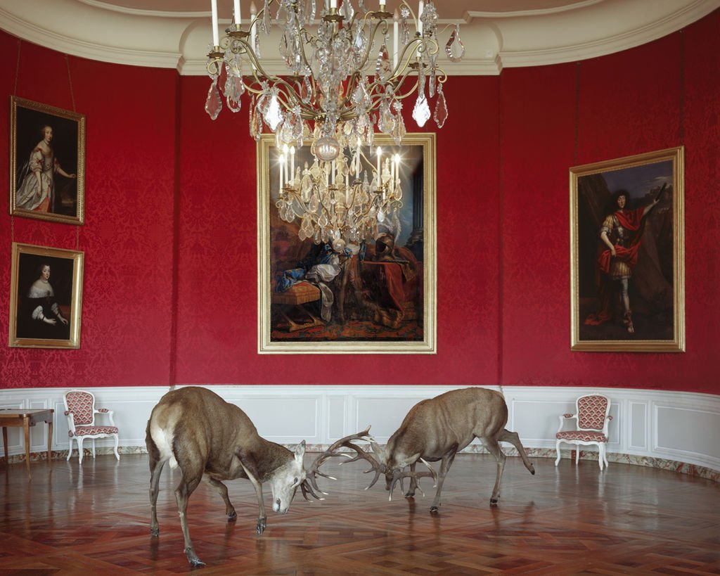 karen-knorr-animaux-palace-04