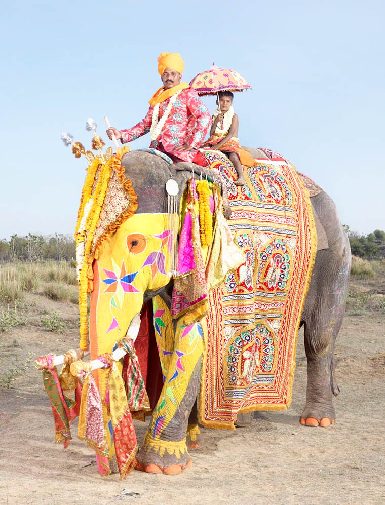 charles-freger-painted-elephants-19