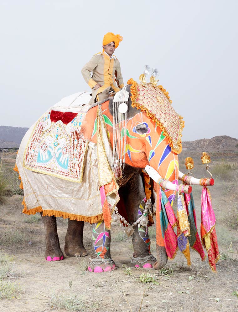 Jaipur elephant festival par Charles Freger