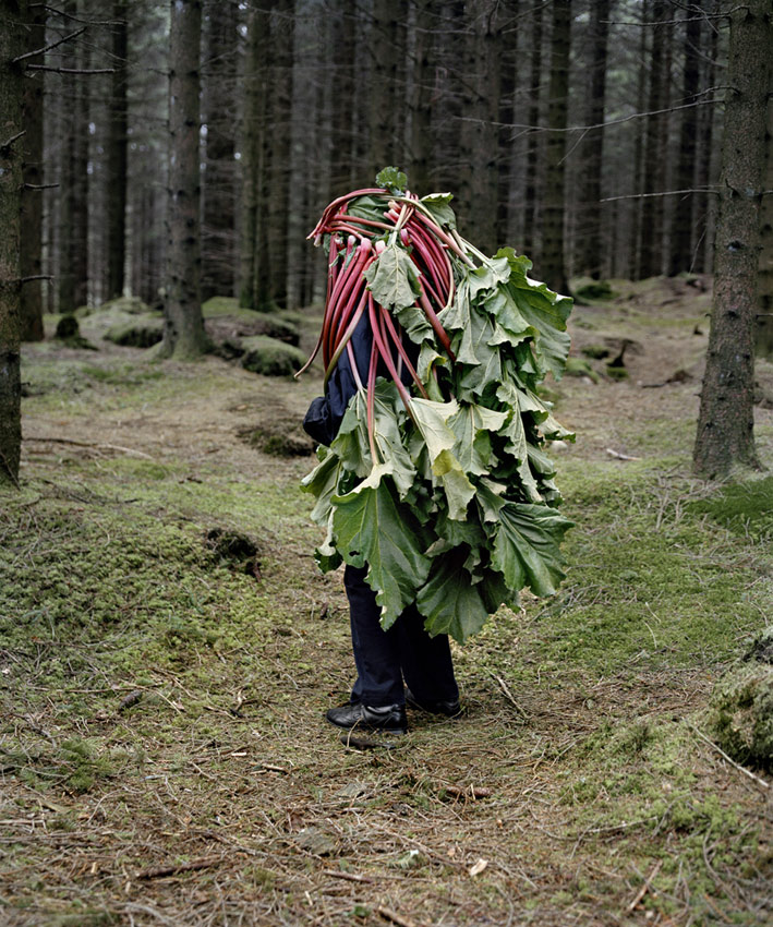 homme recouvert nature